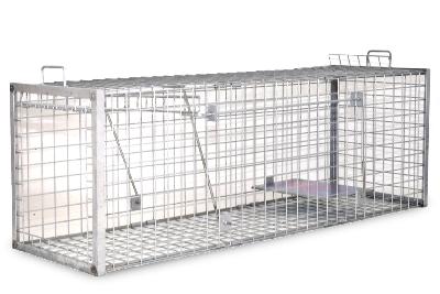 Fox Cage