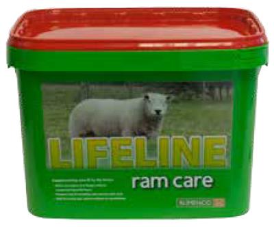 Lifeline Ram Care